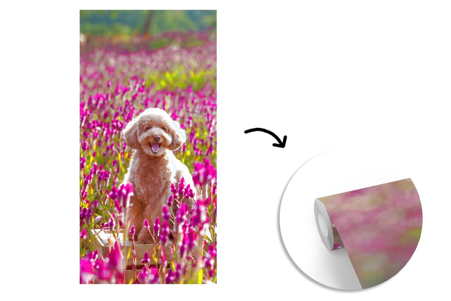 MuchoWow Hund Schlafzimmer - bedruckt, Vliestapete (2 - Küche, Wohnzimmer Fototapete Fototapete St), für Lavendel Blumen Frühling, - Matt,