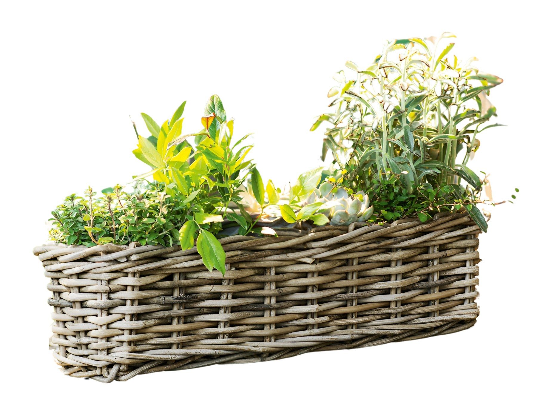 Dekoleidenschaft Blumenkasten aus Rattan "Koboo Grey" 60 cm lang, grau