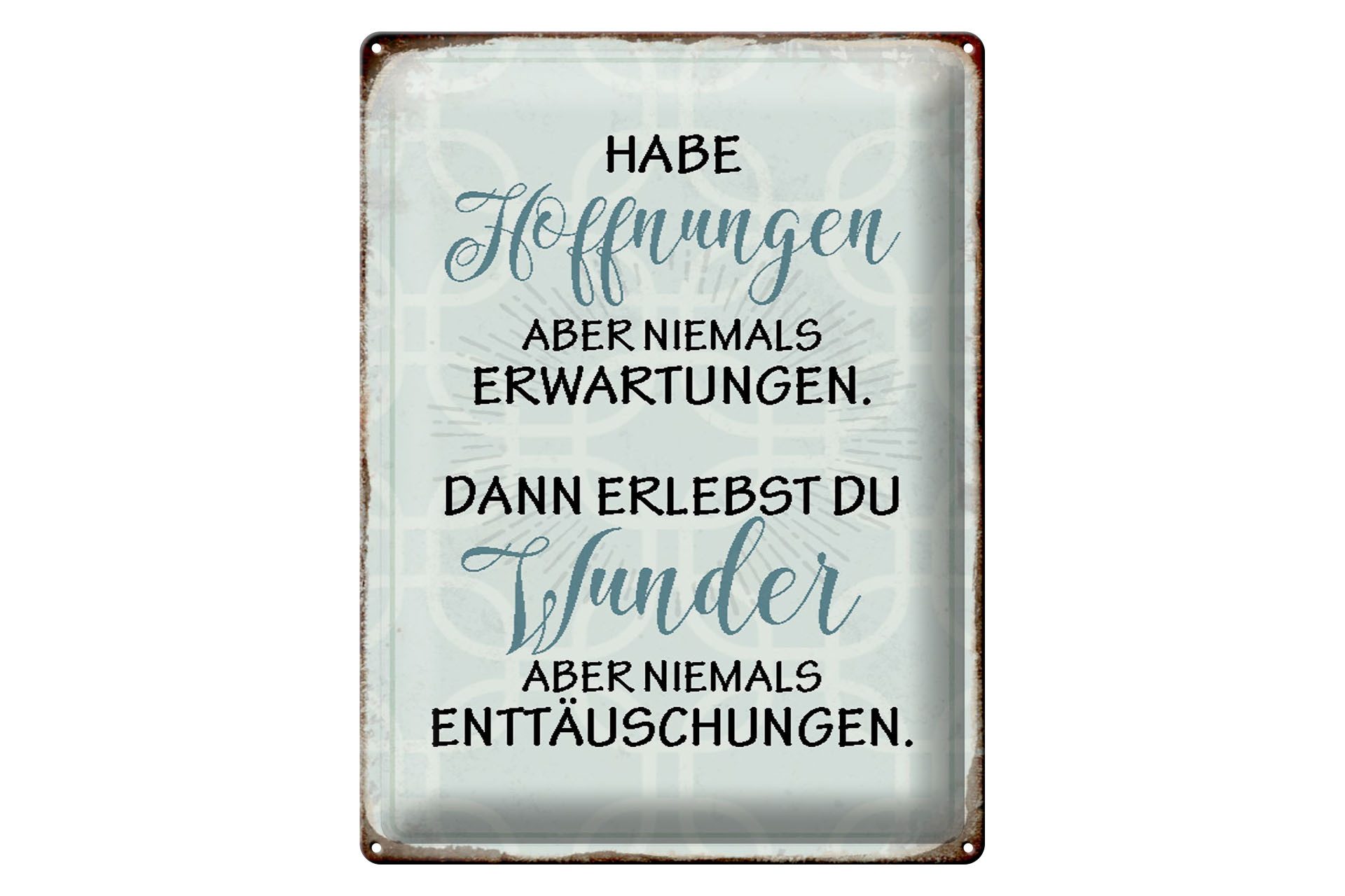 Metallschild Spruch 30x40cm habe Hoffnungen nie Erwartungen