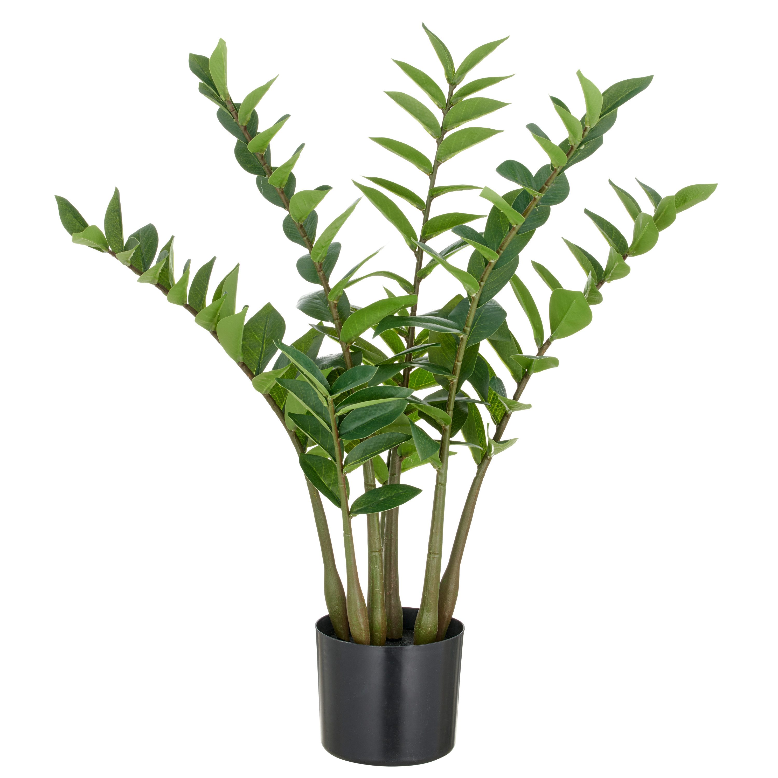 Kunstpflanze Zamifolia, Creativ green, Höhe 70 cm, mit detailgetreuer Gesta günstig online kaufen