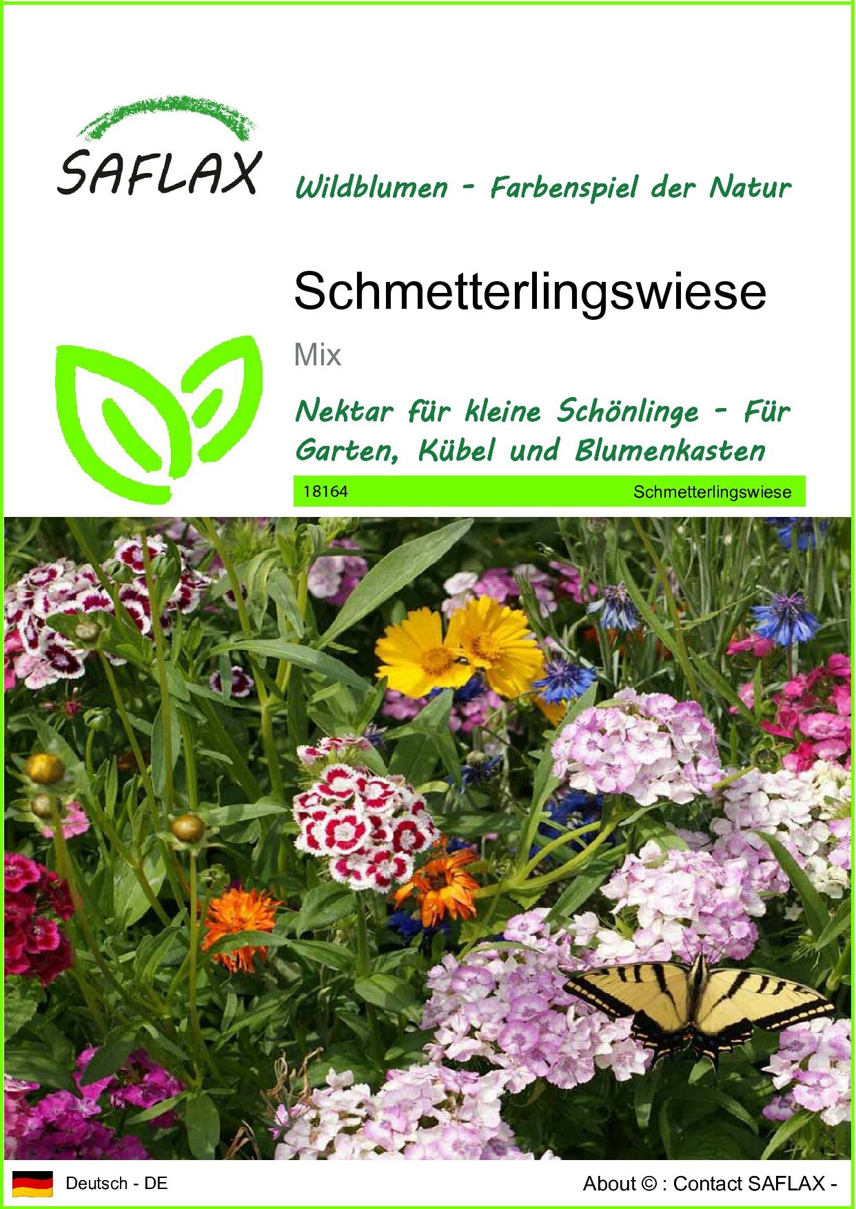 SAFLAX Blumensamen SAFLAX - Samen - Schmetterlingswiese