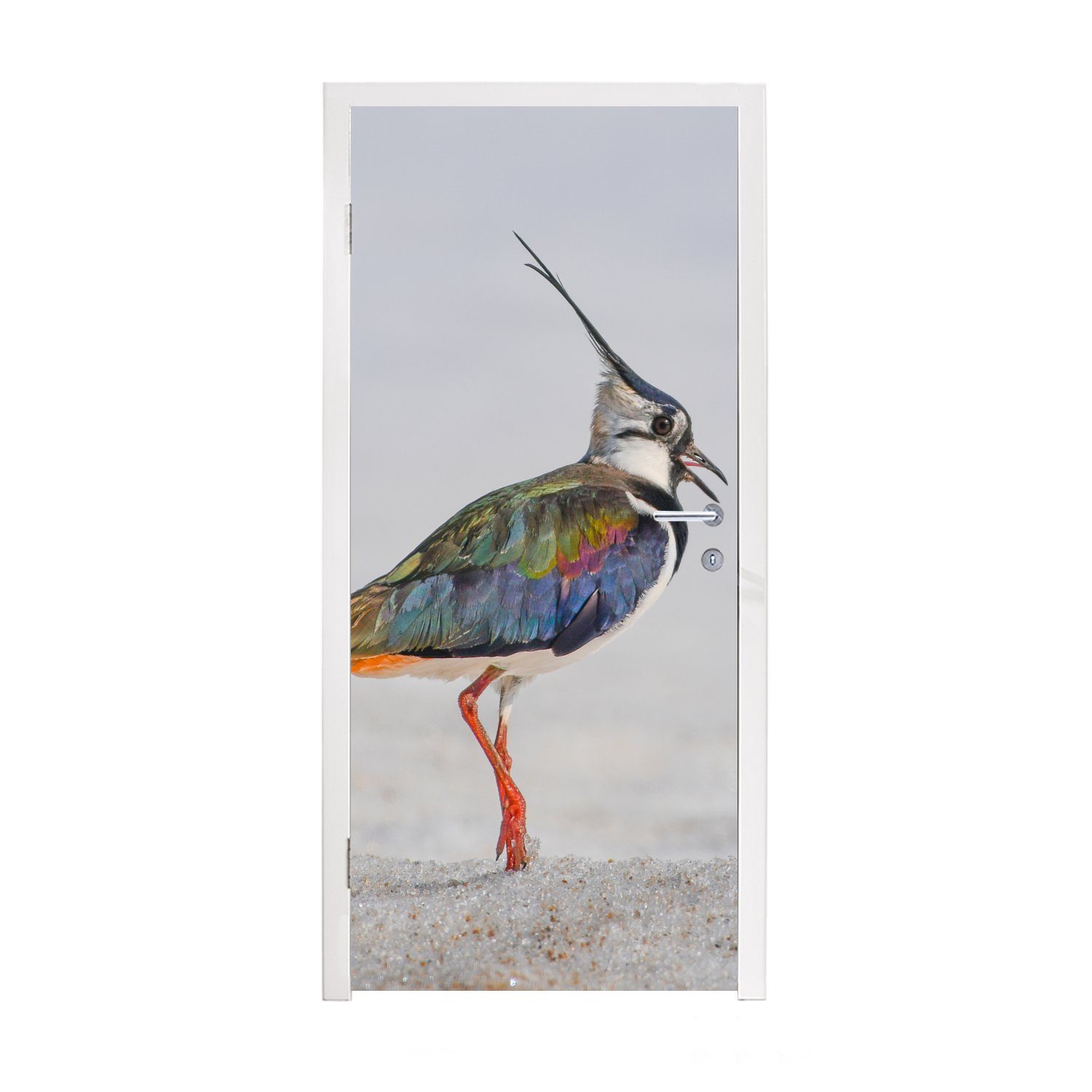 - Kiebitz, Vogel - Tiere Fototapete - St), (1 75x205 cm Türaufkleber, bedruckt, MuchoWow Matt, Sand für Tür, Türtapete