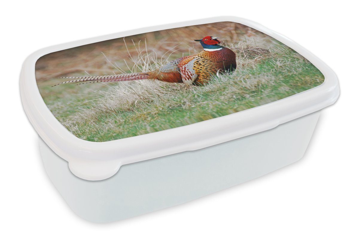 MuchoWow Lunchbox Fasan - Gras - Winter, Kunststoff, (2-tlg), Brotbox für Kinder und Erwachsene, Brotdose, für Jungs und Mädchen weiß