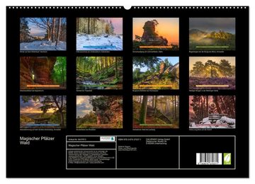 CALVENDO Wandkalender Magischer Pfälzer Wald (Premium, hochwertiger DIN A2 Wandkalender 2023, Kunstdruck in Hochglanz)