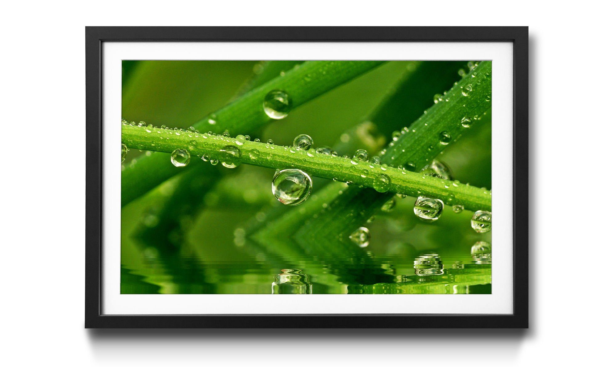 WandbilderXXL Bild mit Rahmen Water Drops, Blumen, Wandbild, in 4 Größen erhältlich
