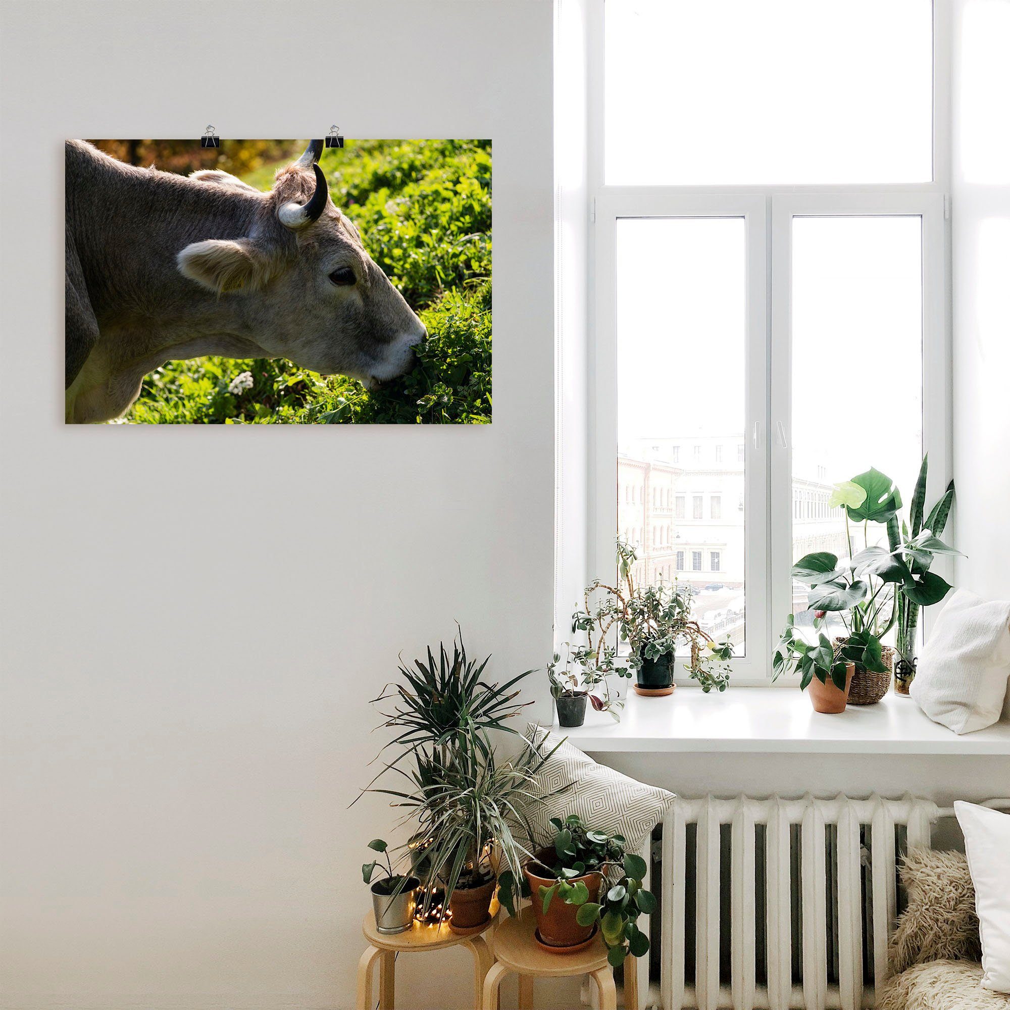 Artland Wandbild Größen Kuh, Südtiroler Leinwandbild, oder versch. Wandaufkleber Eine (1 Alubild, in glückliche Poster Kuhbilder als St)