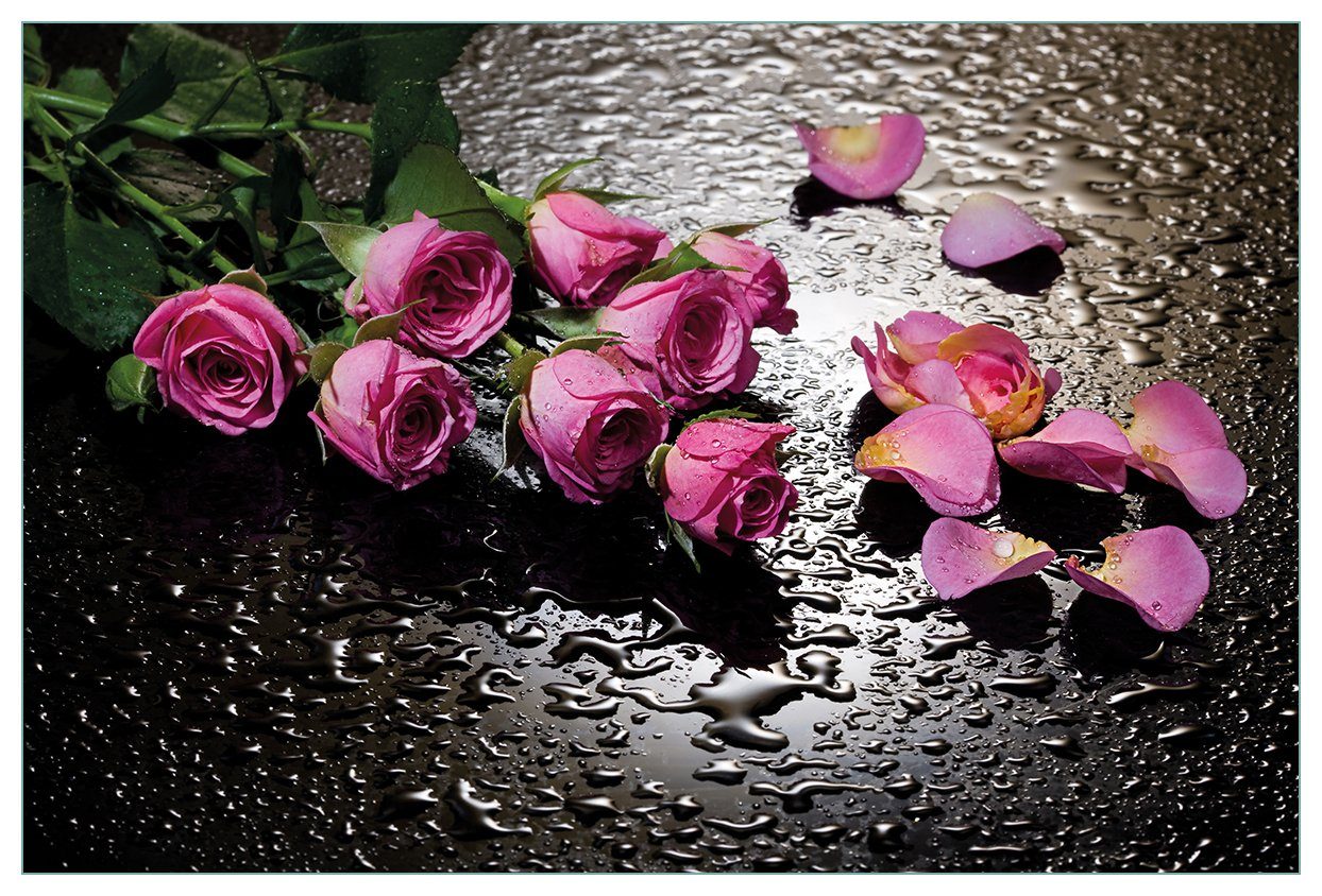 Wallario Küchenrückwand Pinke Rosen mit Wassertropfen, (1-tlg)