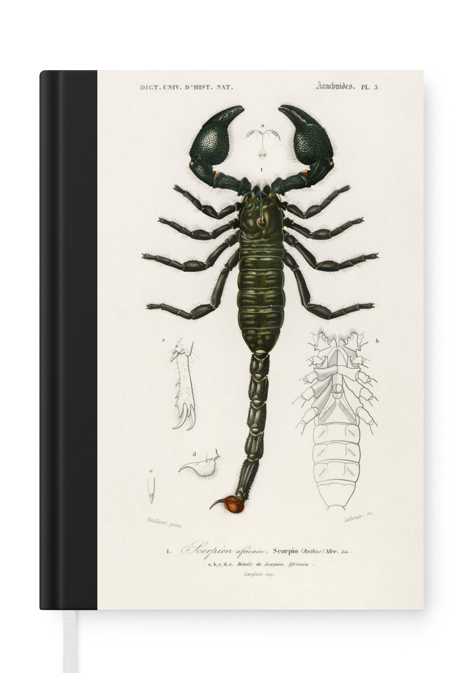 MuchoWow Notizbuch Skorpion - Jahrgang - Insekten, Journal, Merkzettel, Tagebuch, Notizheft, A5, 98 Seiten, Haushaltsbuch