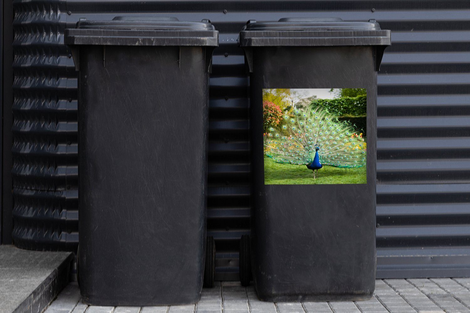 Garten Container, - Mülltonne, Sticker, (1 St), - Mülleimer-aufkleber, Abfalbehälter Wandsticker MuchoWow Pfau Federn