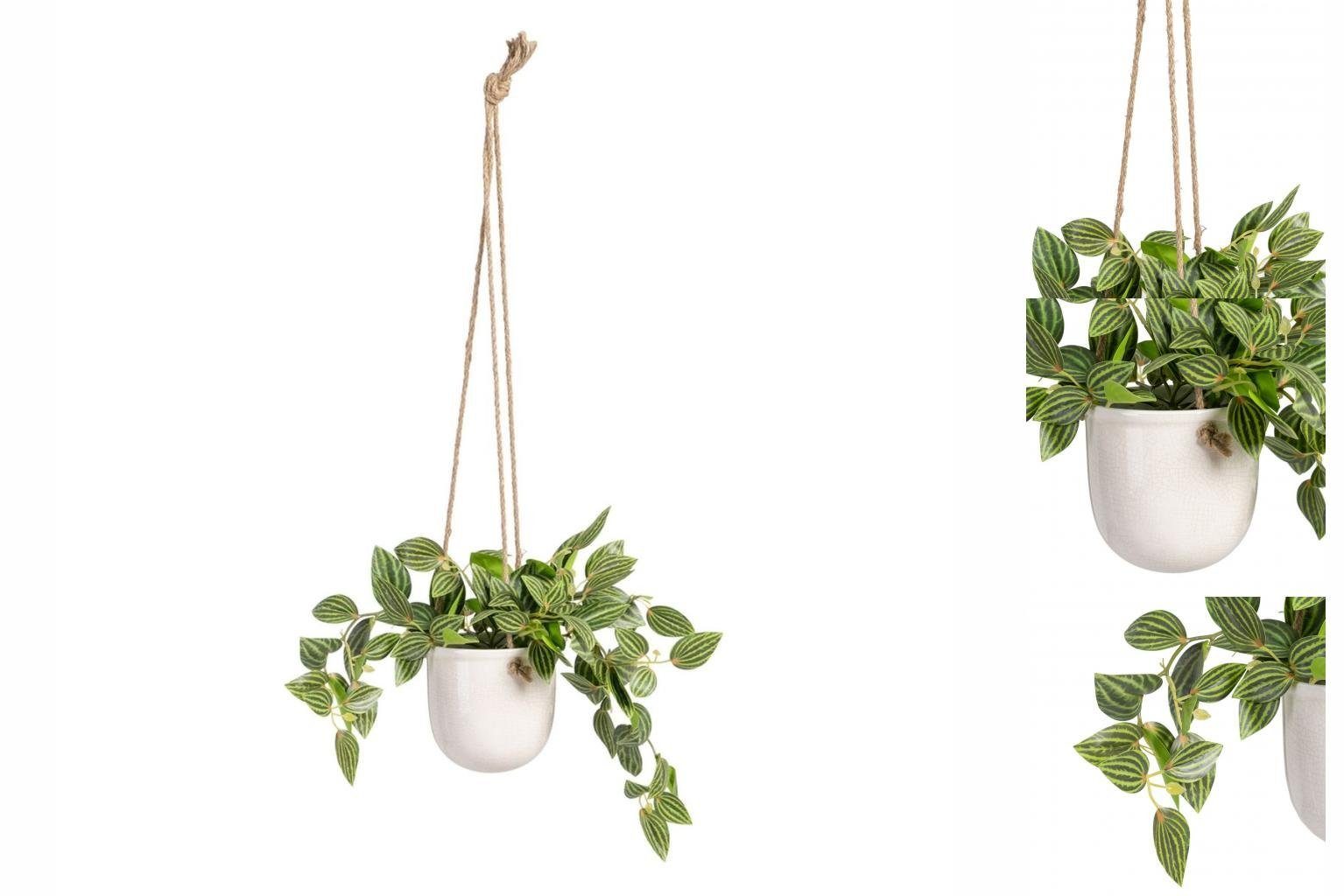 Künstliche Zimmerpflanze Dekorationspflanze 33 x 33 x 24 cm Weiß grün PVC, Bigbuy, Höhe 25 cm