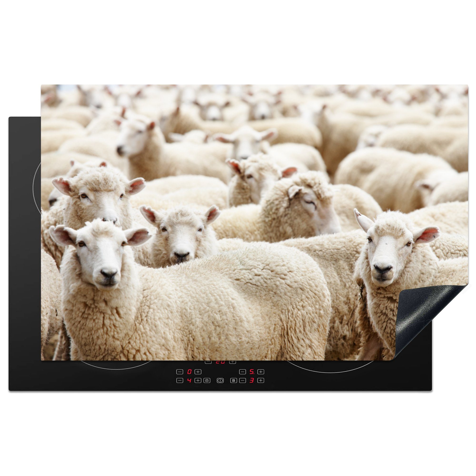 MuchoWow Herdblende-/Abdeckplatte Schafe - Wolle - Weiß, Vinyl, (1 tlg), 81x52 cm, Induktionskochfeld Schutz für die küche, Ceranfeldabdeckung