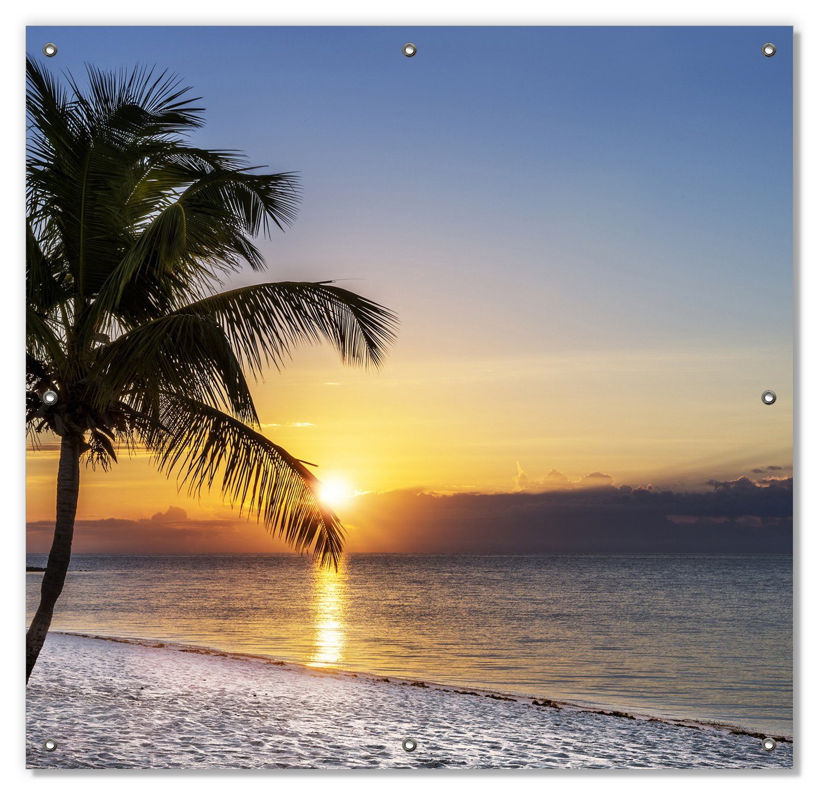 Sonnenschutz Palme am Strand - Sonnenuntergang über dem Meer, Wallario, blickdicht, mit Saugnäpfen, wiederablösbar und wiederverwendbar