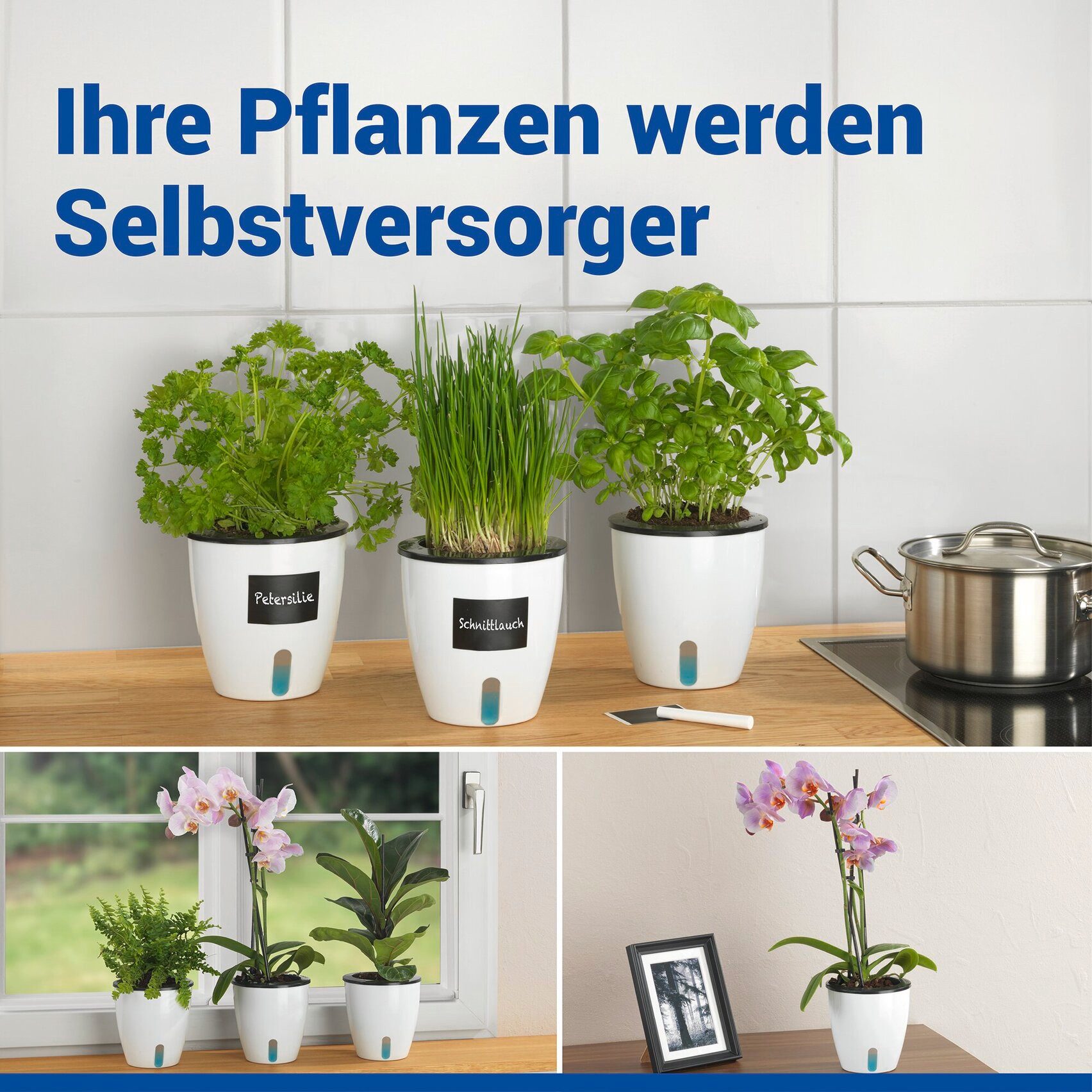 Maximex Pflanzschale Selbstbewässernde Pflanztöpfe (Set, 3 St), 13x13,5 cm, mit Wasserstandsanzeige