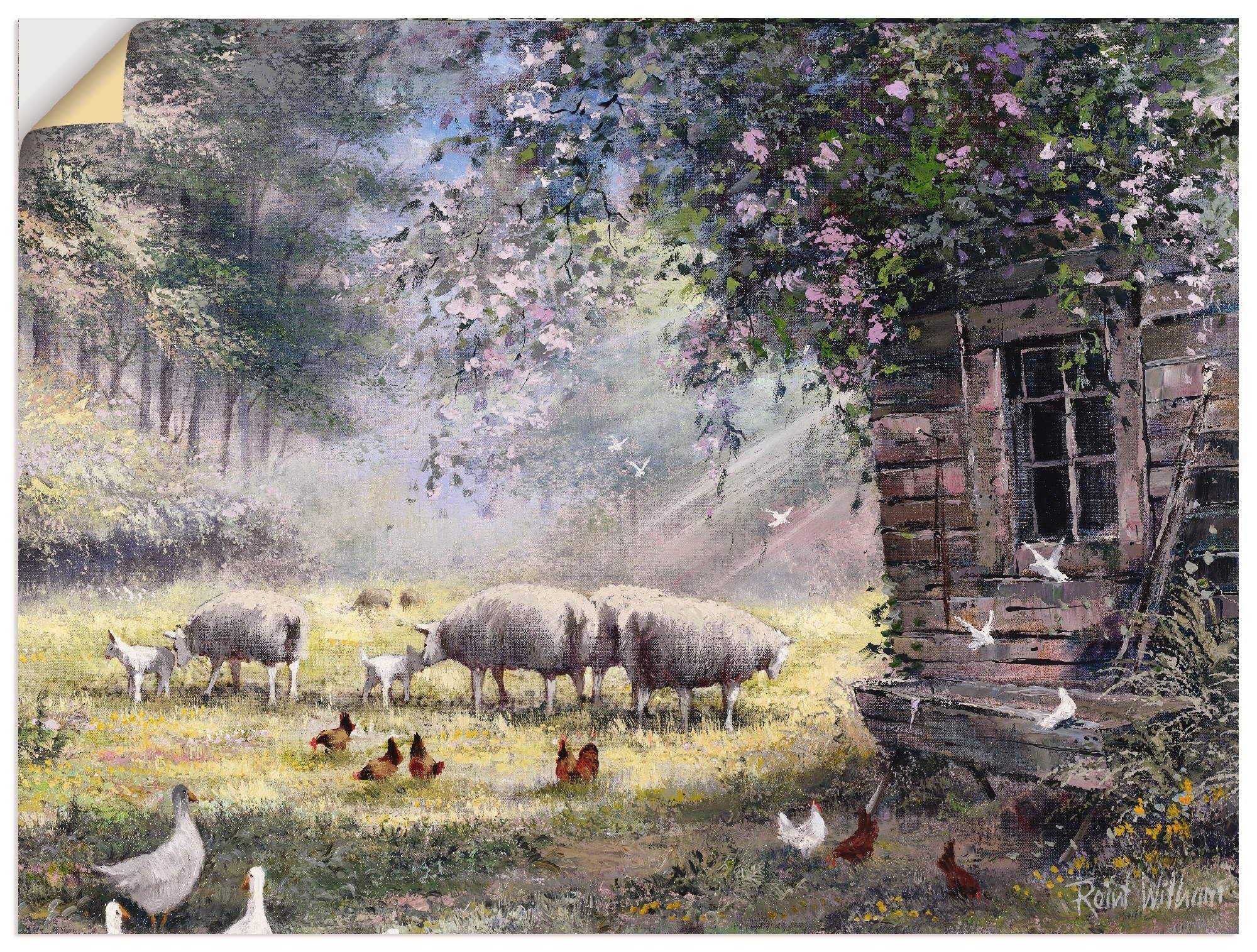 Artland Wandbild Hühner und Schafe, Haustiere (1 St), als Leinwandbild, Wandaufkleber oder Poster in versch. Größen | Poster