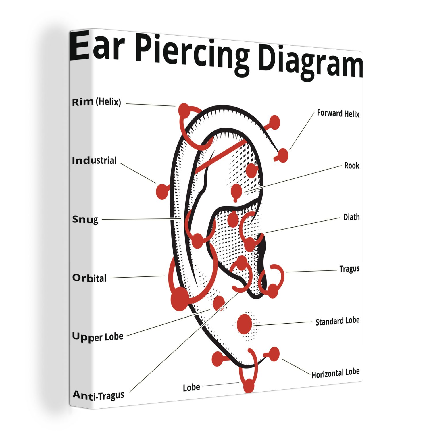 OneMillionCanvasses® Leinwandbild Illustration eines Ohrs mit Piercings, (1 St), Leinwand Bilder für Wohnzimmer Schlafzimmer