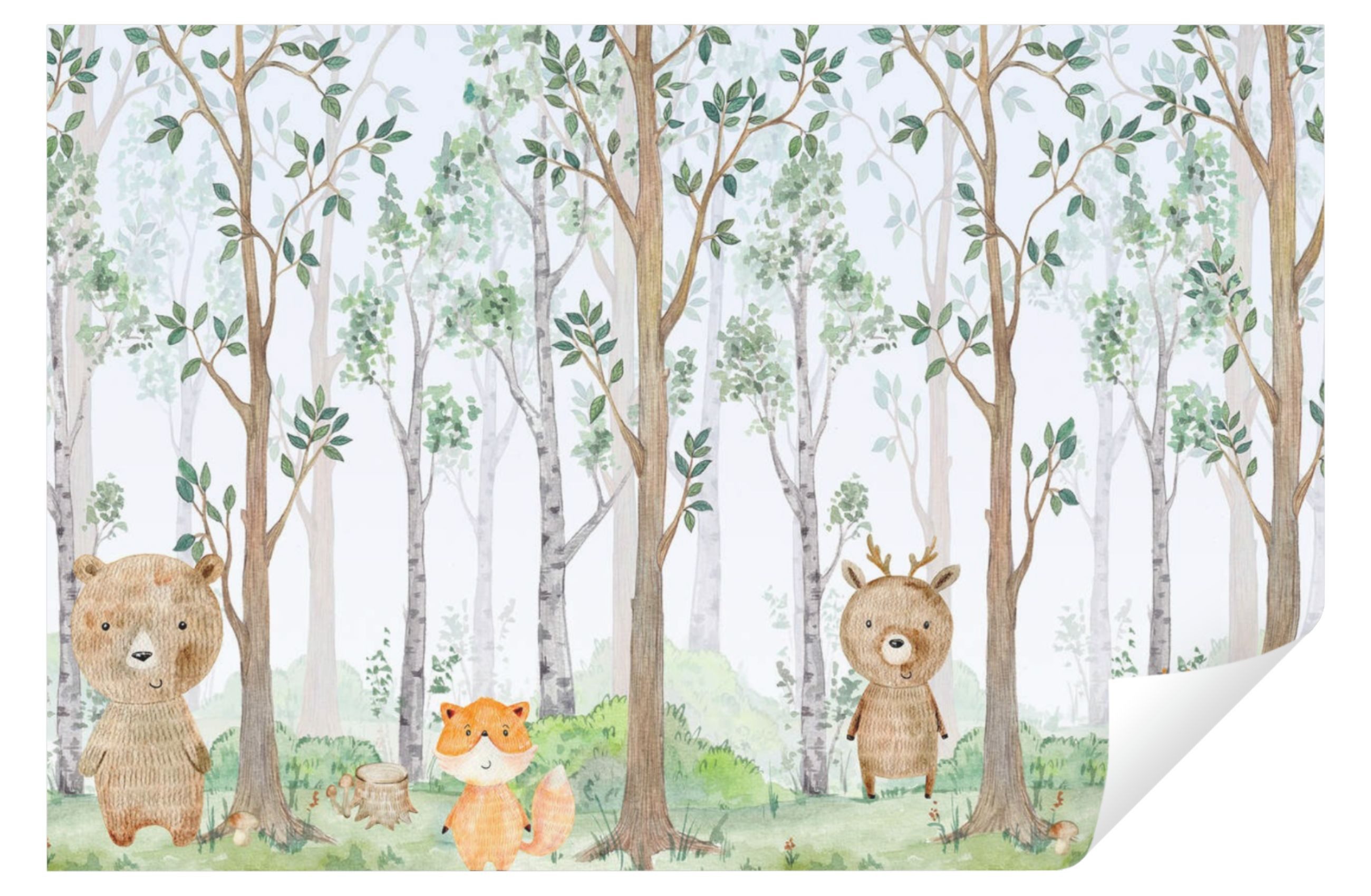 Wallarena Fototapete Kinderzimmer Wald Tiere Mädchen günstig online kaufen