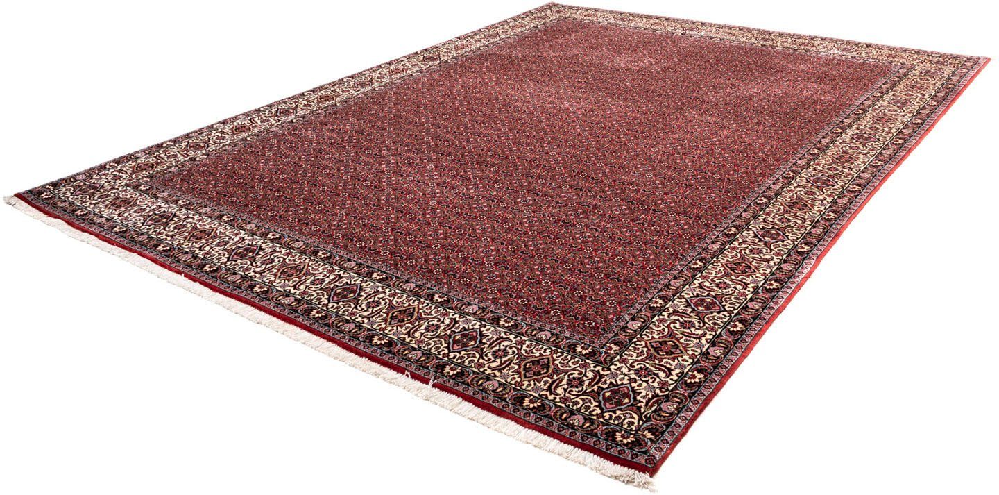 Wollteppich Bidjar Takab Durchgemustert Rosso 338 x 252 cm, morgenland, rechteckig, Höhe: 13 mm, Unikat mit Zertifikat