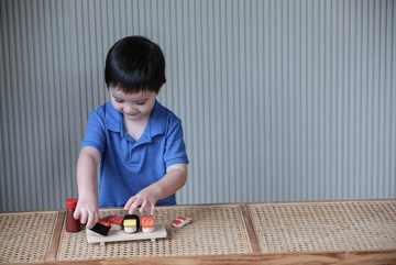 Plantoys Spiellebensmittel Sushi Set, (Komplettset)