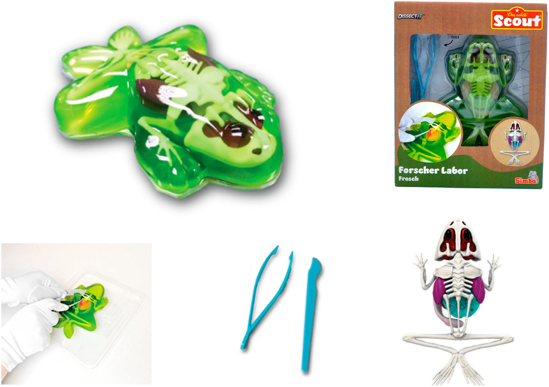Kreativset Scout, Dissectit, Forscher Labor Frosch