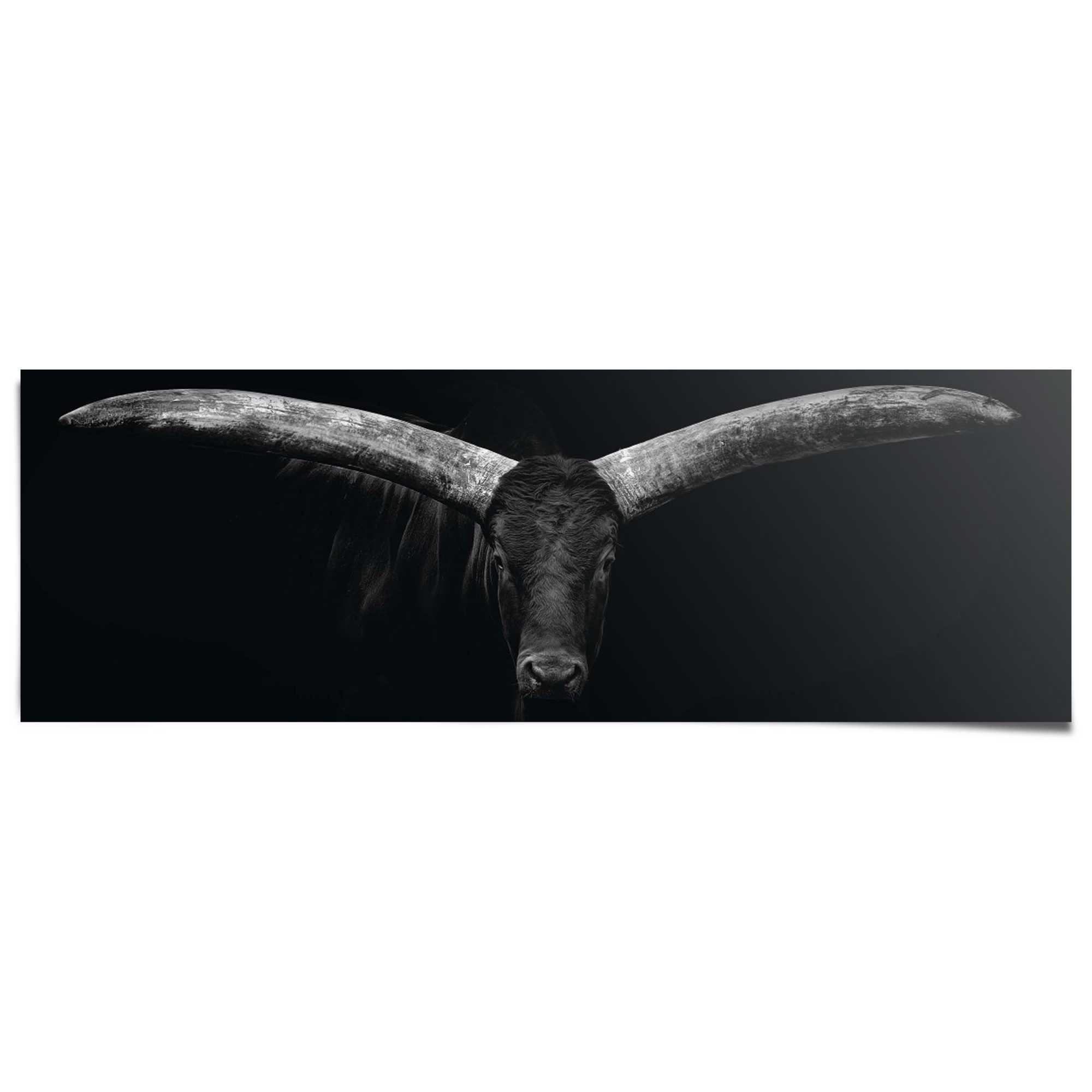 Reinders! Плакат Ochse