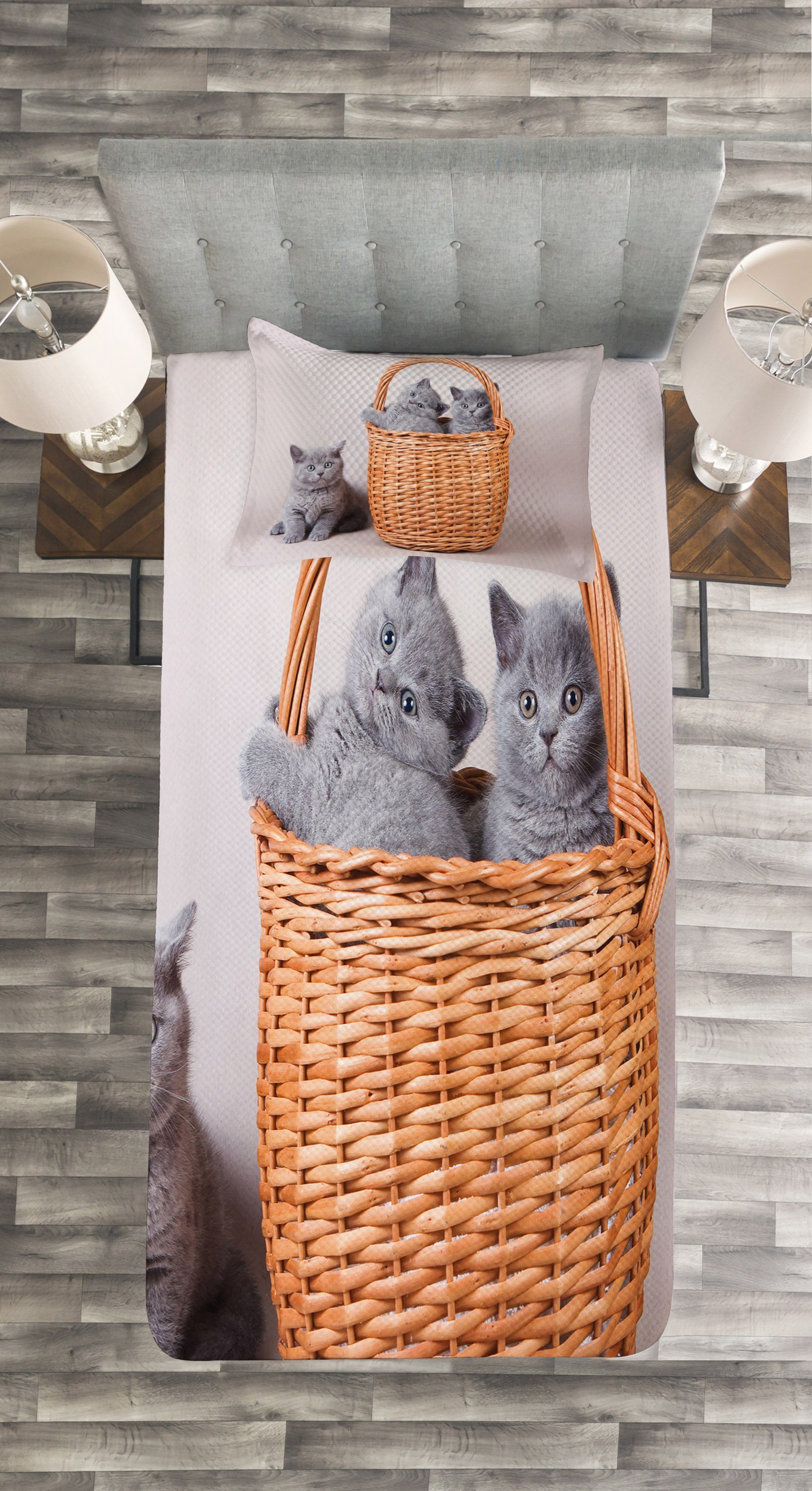Tagesdecke Set mit Kissenbezügen Waschbar, Britische Katzen im Kätzchen Abakuhaus, Korb