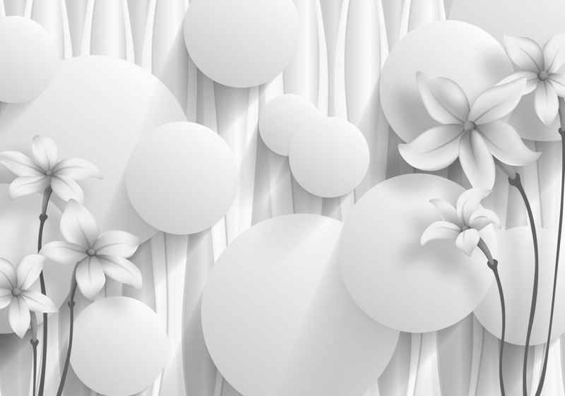 wandmotiv24 Fototapete Blumen 3D Kreise Effekt abstrakt grau, glatt, Wandtapete, Motivtapete, matt, Vliestapete