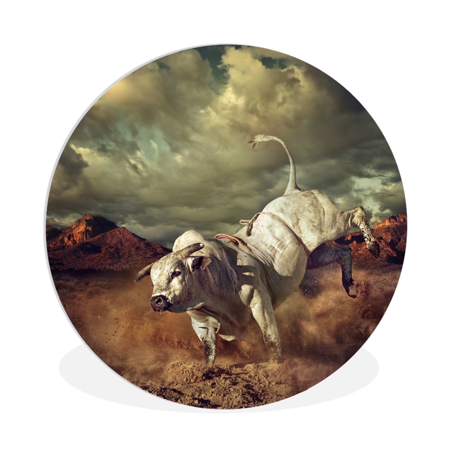 MuchoWow Gemälde Ein tretender weißer Stier in der Wüste, (1 St), Kreis Wanddekoration Forex, Rundes Wandbild, Wohnzimmer, 30x30 cm