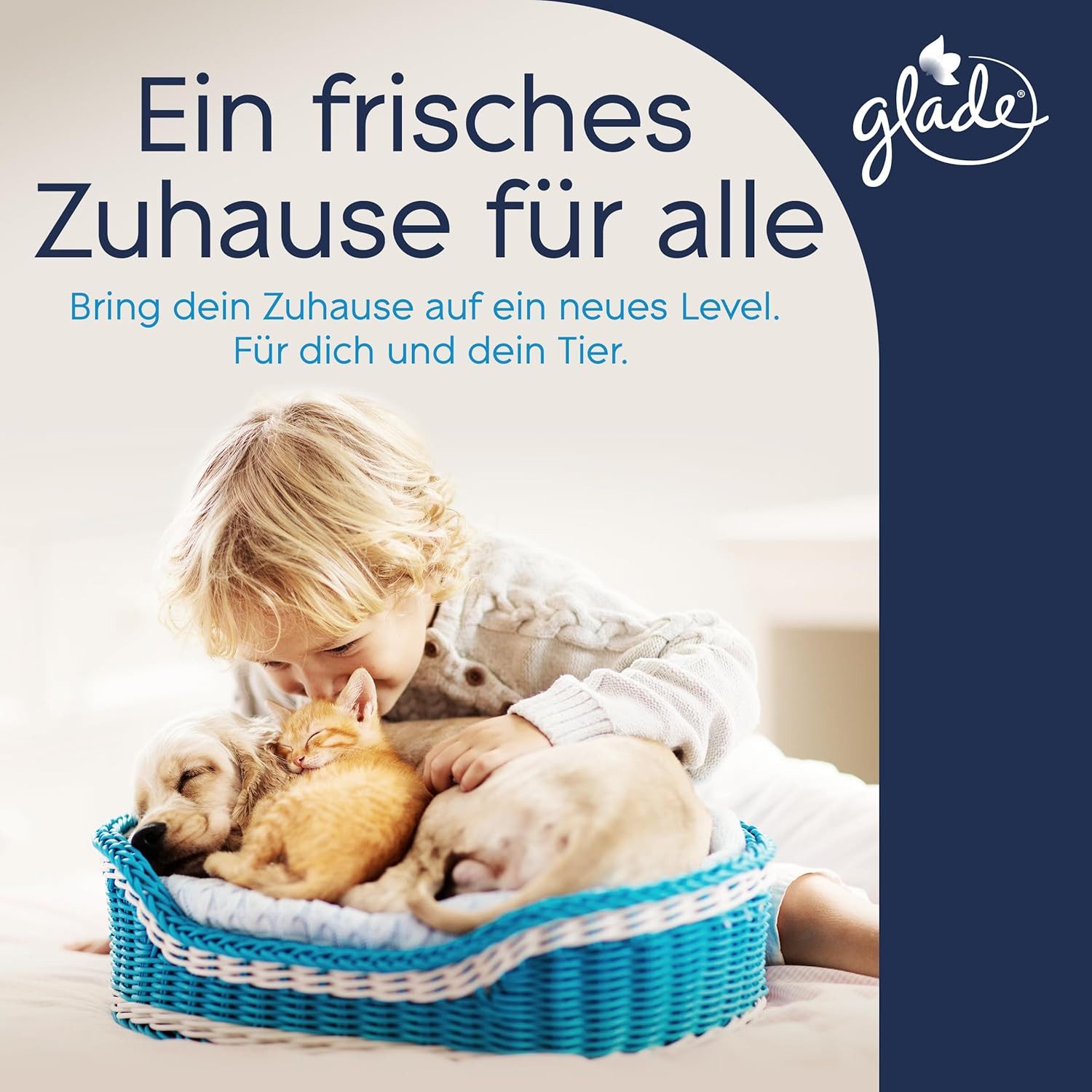 Glade Raumduft Electric Scented Oil Nachfüller, Refreshing Air, 20 ml