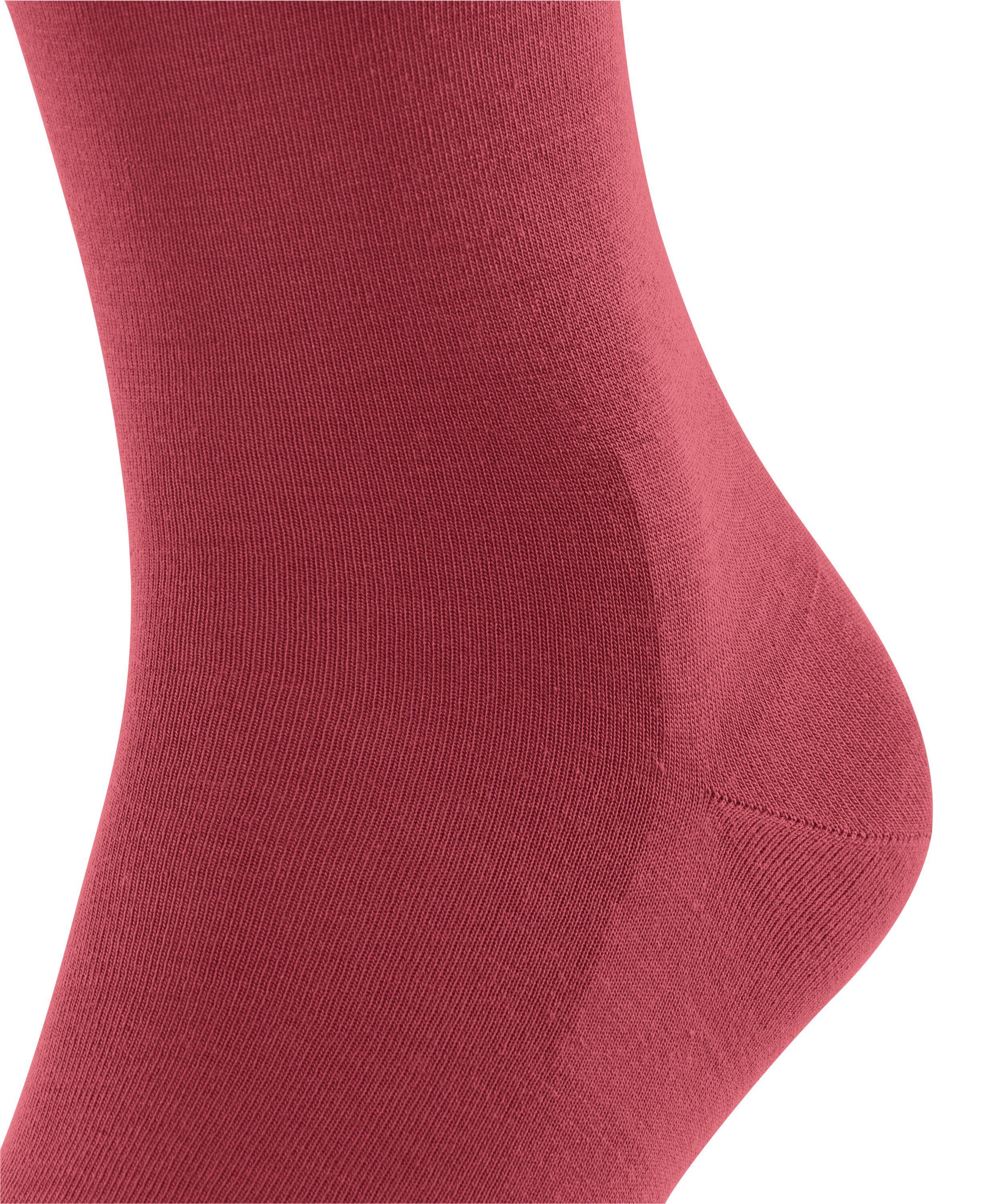 (8032) FALKE (1-Paar) ClimaWool Socken redwine
