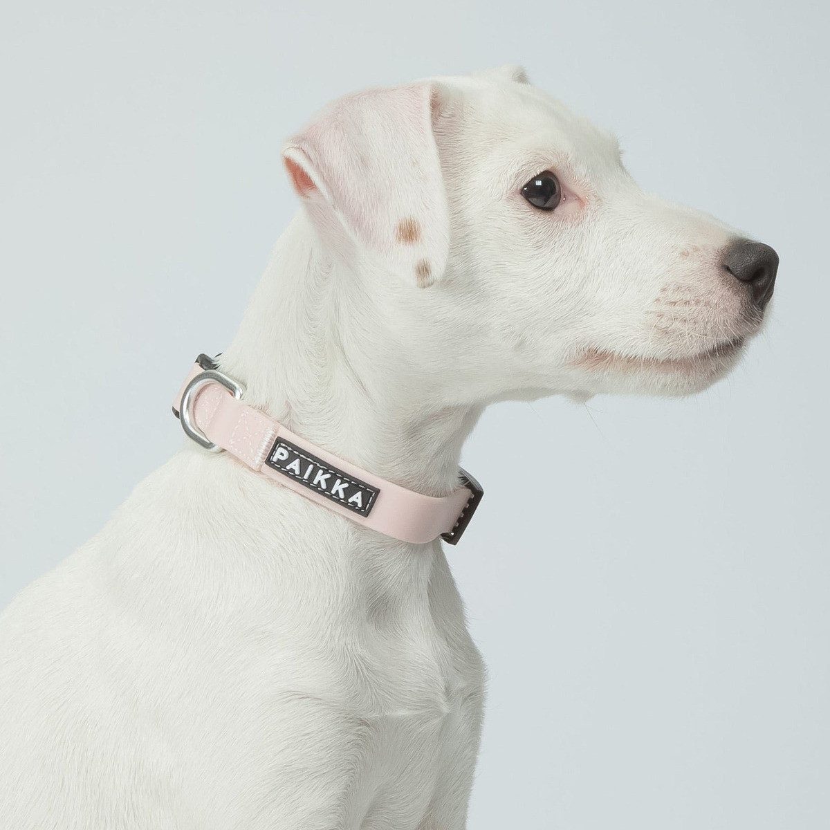 PAIKKA Hunde-Halsband Hundehalsband "Glow Collar" pale pink