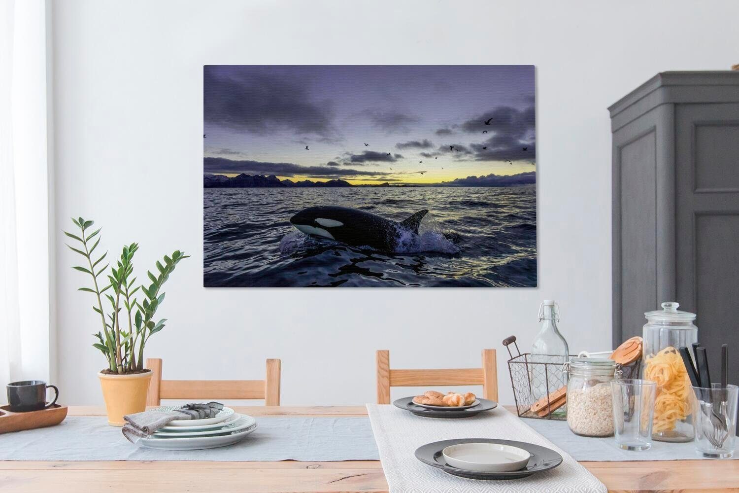 OneMillionCanvasses® Leinwandbild Orca bei 120x80 (1 Wandbild XXL, cm für alle St), Sonnenaufgang, Gemälde, Wohnbereiche, großes