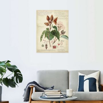 Posterlounge Wandfolie A. Descubes, Botanik V, Wohnzimmer Vintage Illustration
