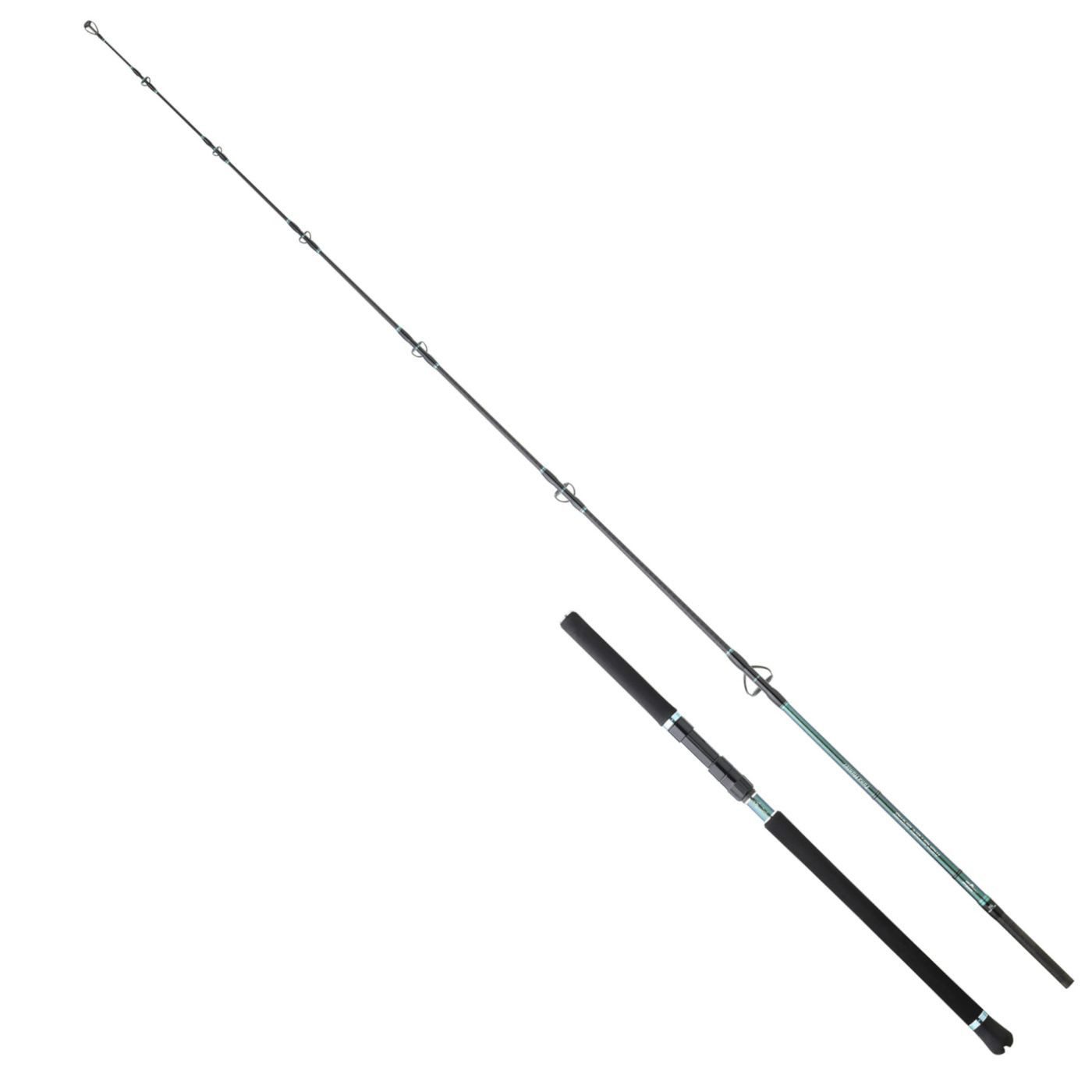 Spinnrute Hearty Rise Monster Game Tuna Hunter S 2,40m 60-160g - Angelrute