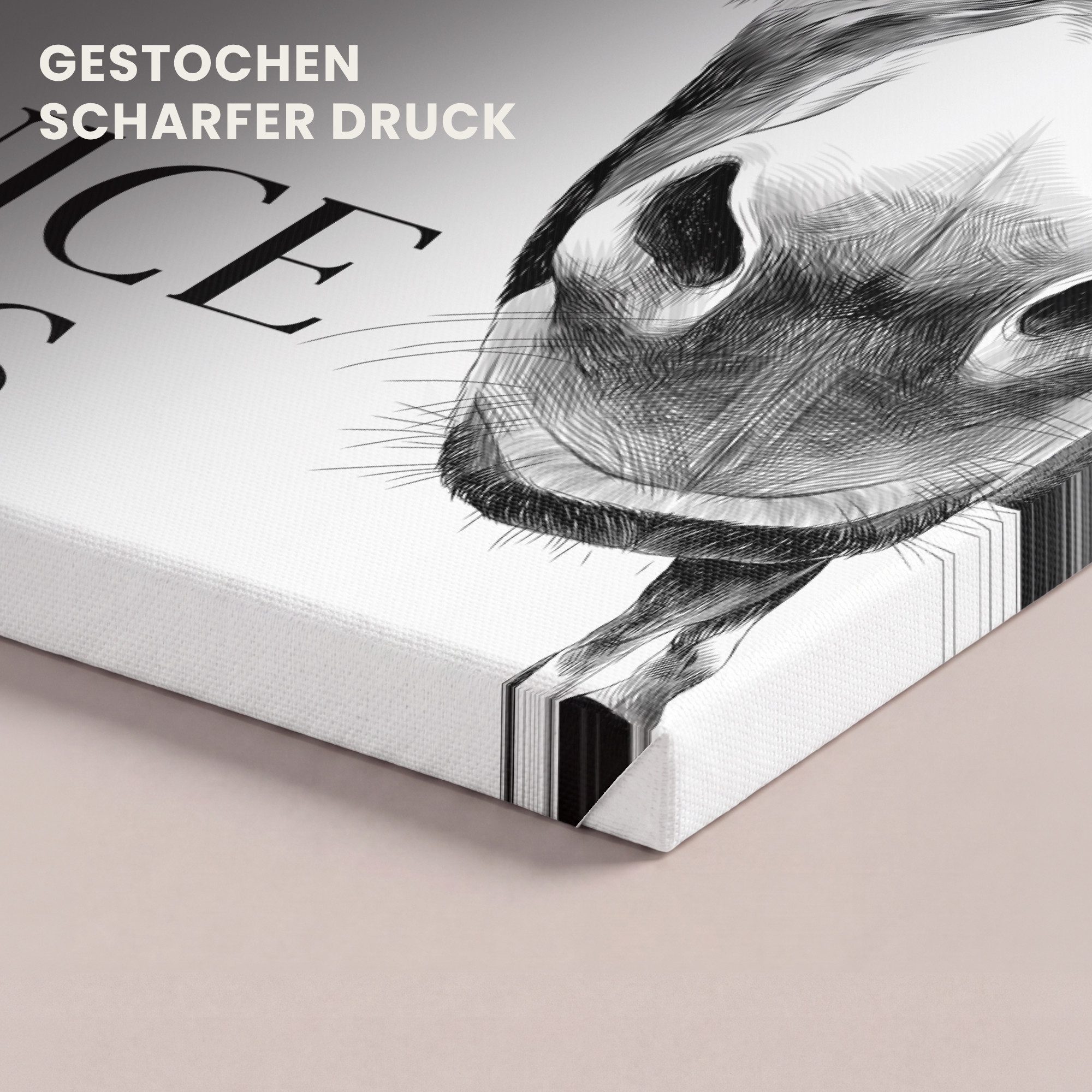 OneMillionCanvasses® Leinwandbild Zitat - Esel - Dieren - Nice ass - Sprüche, Fotodruck (1 St), Bilder für Badezimmer, Bad und Toiletten Deko, Bild WC 30x20 cm – Bild 3 von 5