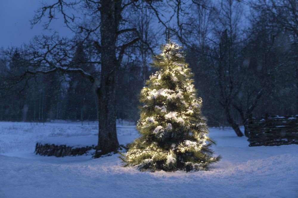 Memoryfunktion, 2016 Steuergerät, aussen, LED-Lichterkette KONSTSMIDE Weihnachtsdeko Funktionen, 8 mit Dioden warm weiße