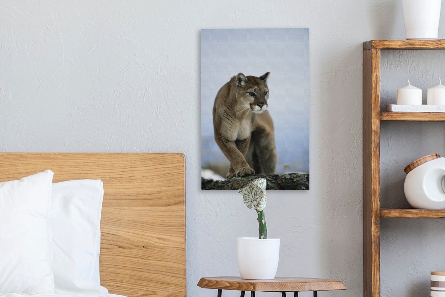 Felsen, fertig Gemälde, bespannt Puma 20x30 Leinwandbild Zackenaufhänger, (1 cm St), OneMillionCanvasses® inkl. auf Leinwandbild
