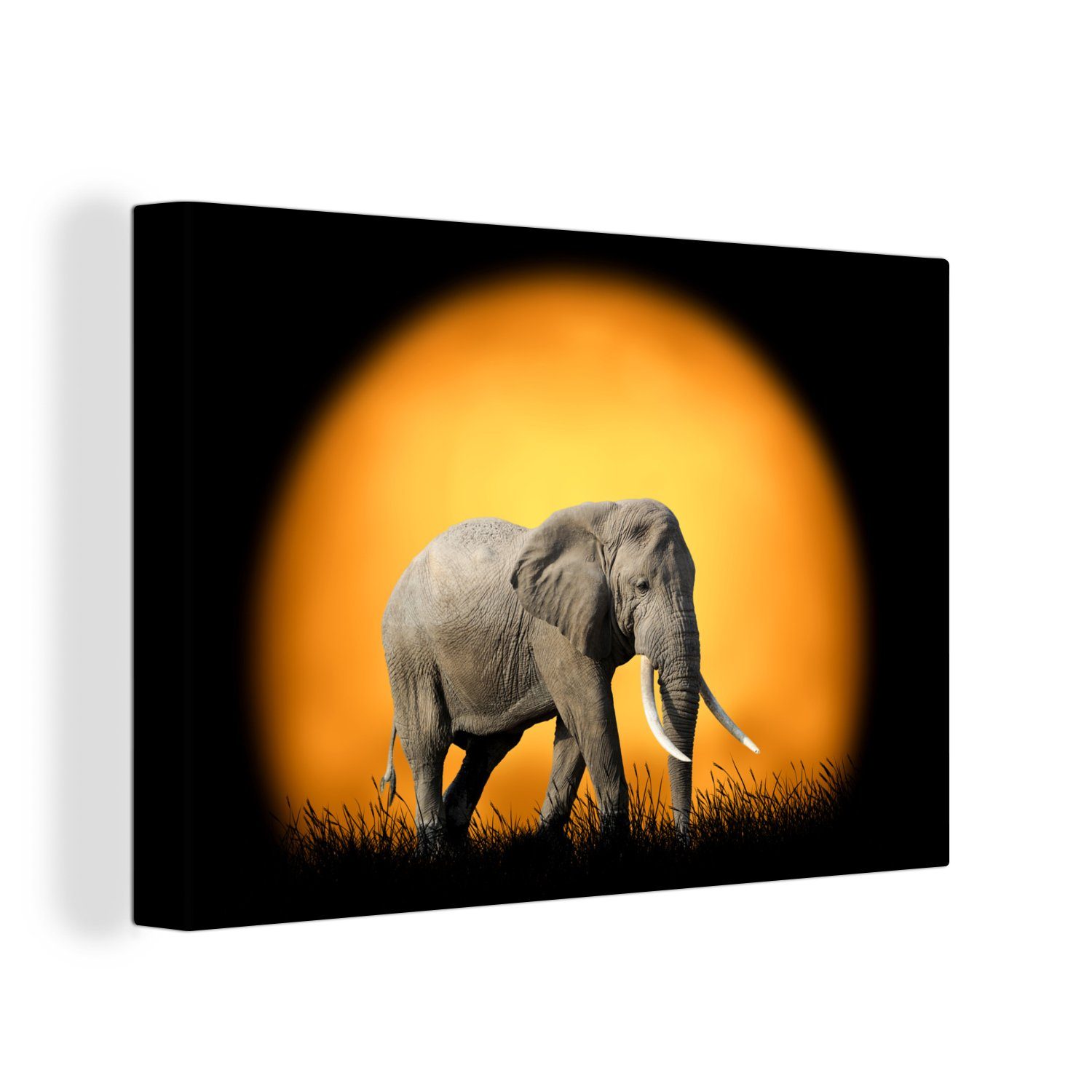 OneMillionCanvasses® Leinwandbild Elefant - Sonne - Gras, (1 St), Wandbild Leinwandbilder, Aufhängefertig, Wanddeko, 30x20 cm