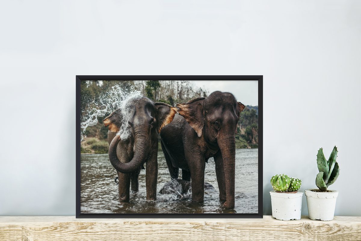 MuchoWow Poster Elefant Gerahmtes - Fluss, (1 St), Schwarzem Bilder, Bilderrahmen Poster, - Wasser Wandposter, Wanddeko