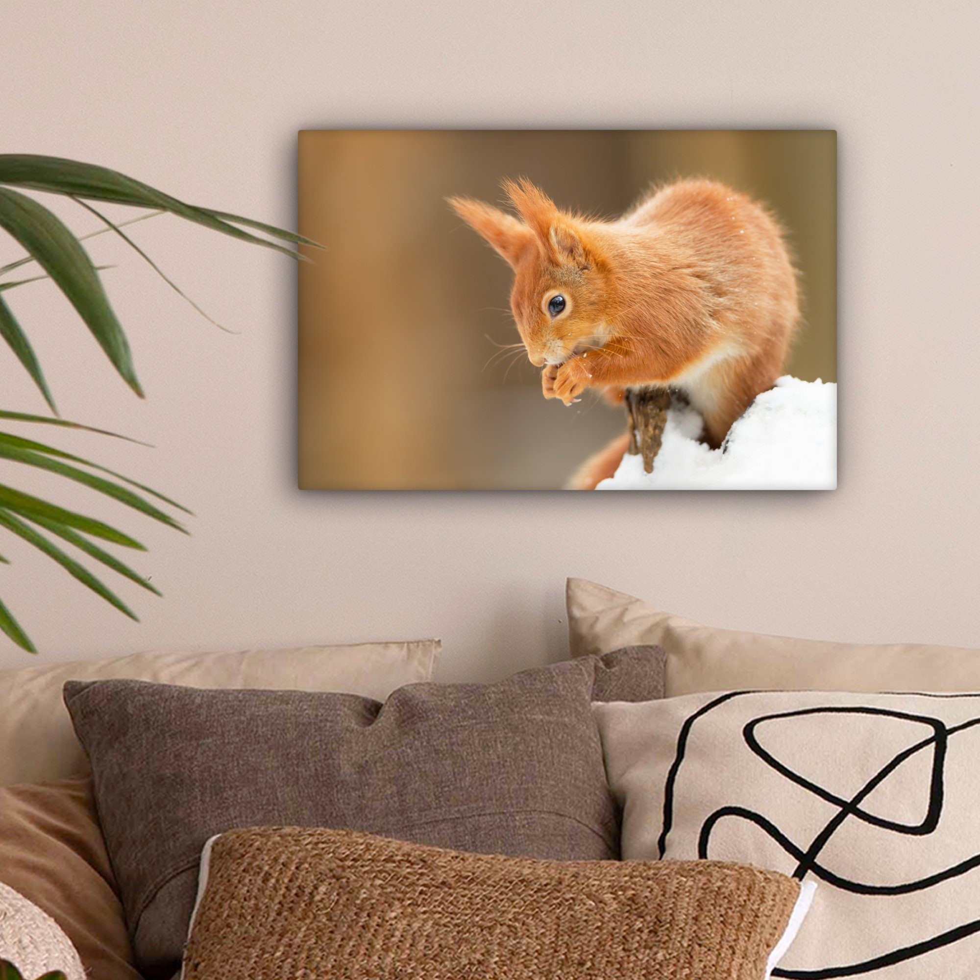 OneMillionCanvasses® Leinwandbild Eichhörnchen mit roter Farbe, günstig online kaufen