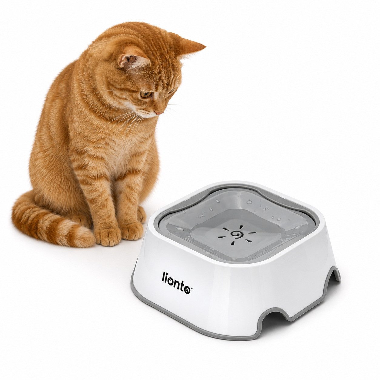 lionto Anti-Schlabber-Napf für Katzen in smartem Design, lebensmittelechter Kunststoff, rutschfest & spülmaschinengeeignet