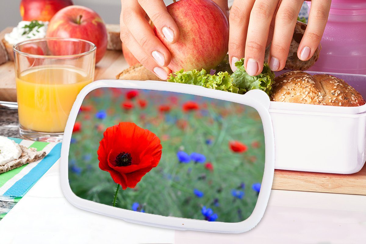 Mohnblumen Erwachsene, und weiß auf Mädchen Brotbox Wiese, Brotdose, Lunchbox einer Kunststoff, (2-tlg), für und Jungs Kinder für und MuchoWow rote Lila