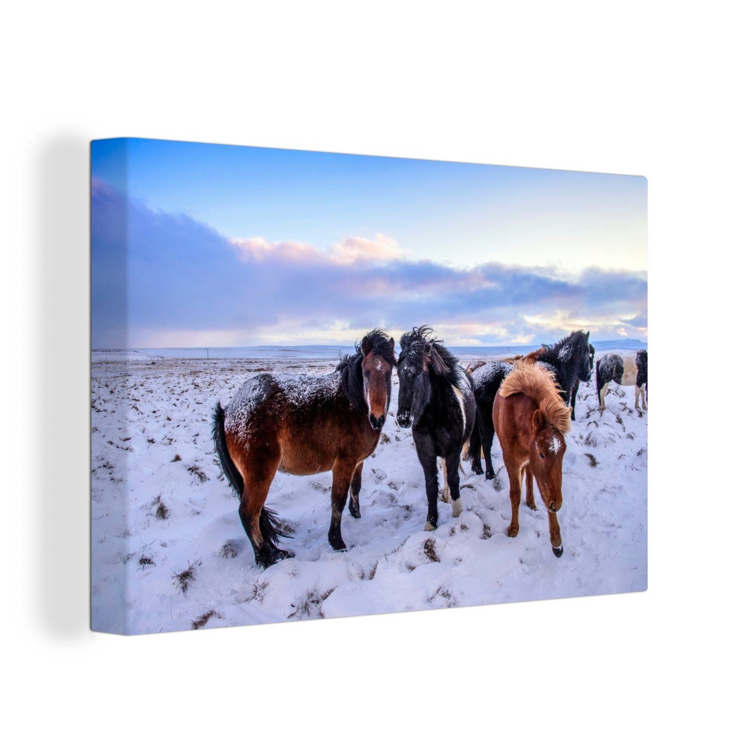 OneMillionCanvasses® Leinwandbild Pferde - Wiese - Schnee - Winter, (1 St), Wandbild Leinwandbilder, Aufhängefertig, Wanddeko, 30x20 cm