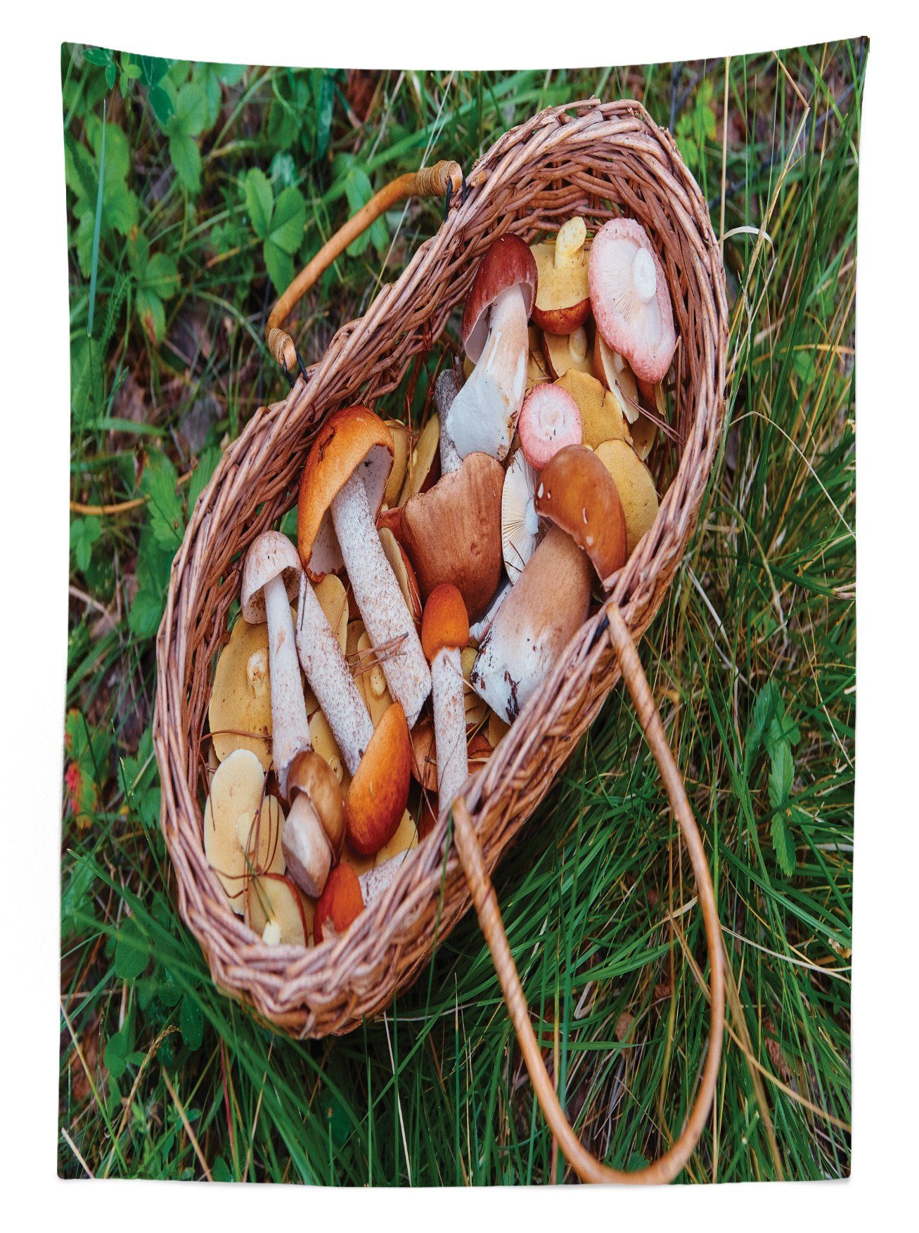 Korb den Waschbar Pilze geeignet Außen Klare Bereich Für Abakuhaus Farben, Tischdecke Pilze Farbfest voller