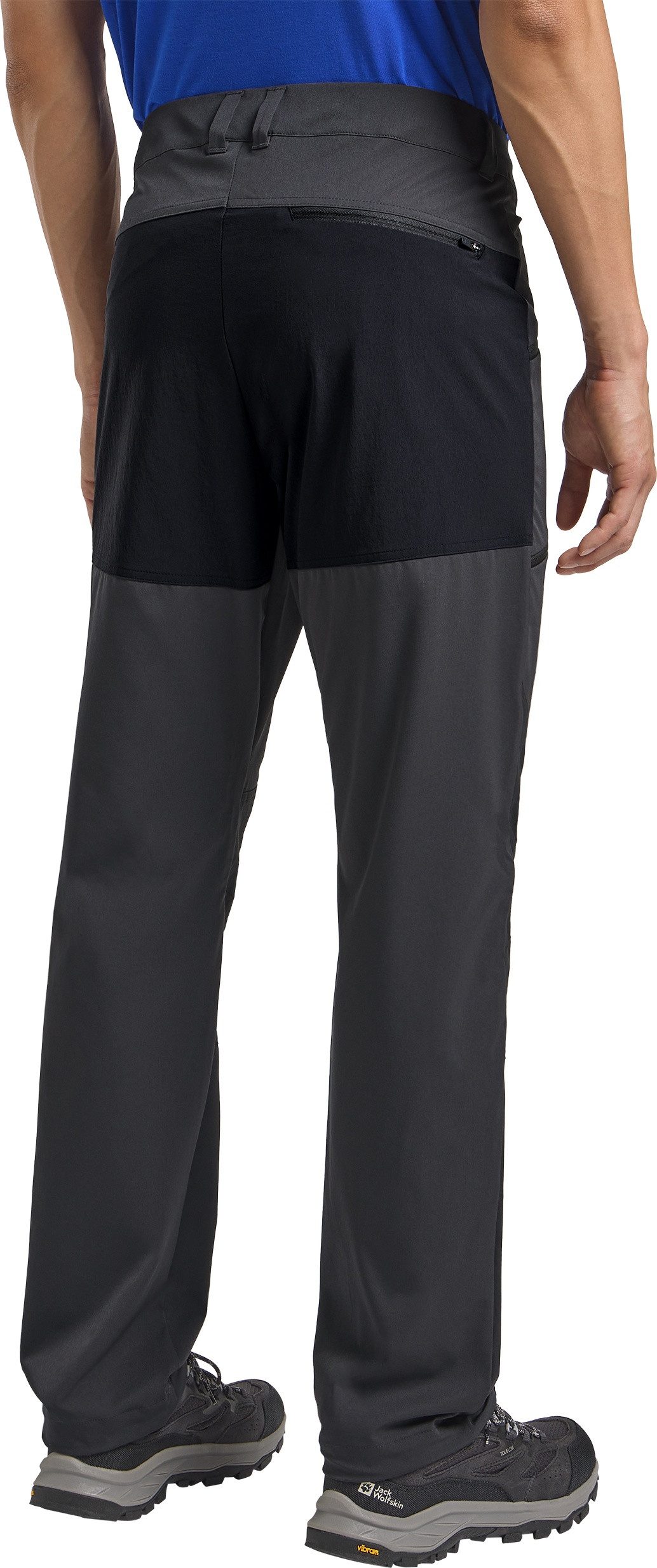 Jack Wolfskin Trekkinghose HIKING ALPINE PANTS günstig online kaufen