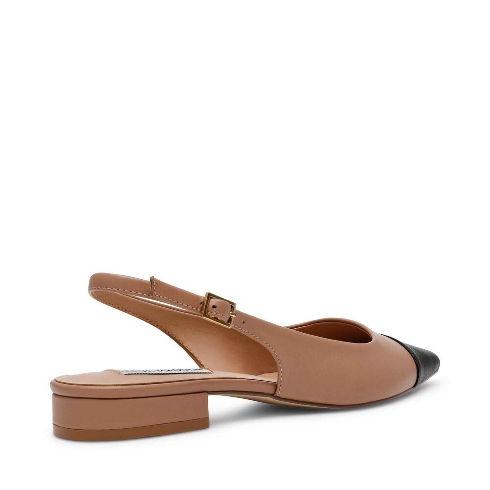 STEVE MADDEN Steve Madden - Pump - Braun Pumps