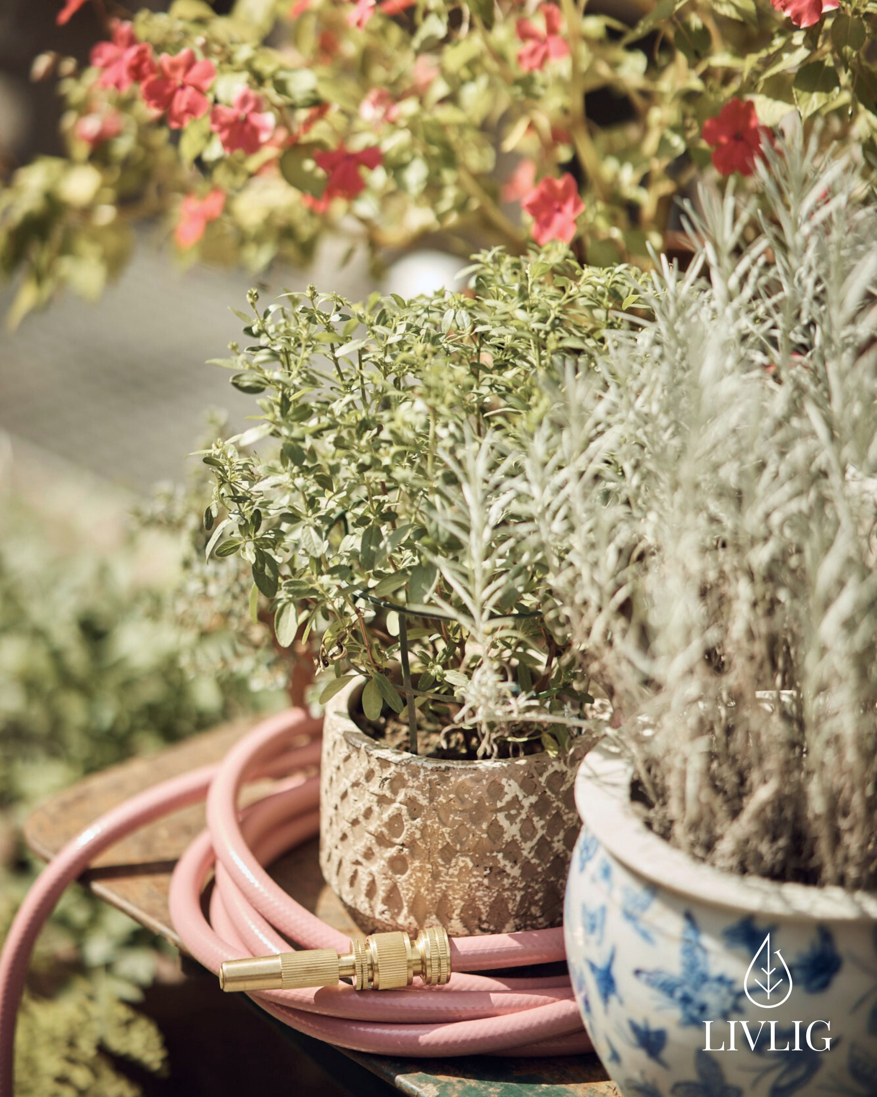 LIVLIG Gartenschlauch im Set, Schöner Gartenschlauch, Wandhalterung, Spritze, Rosa