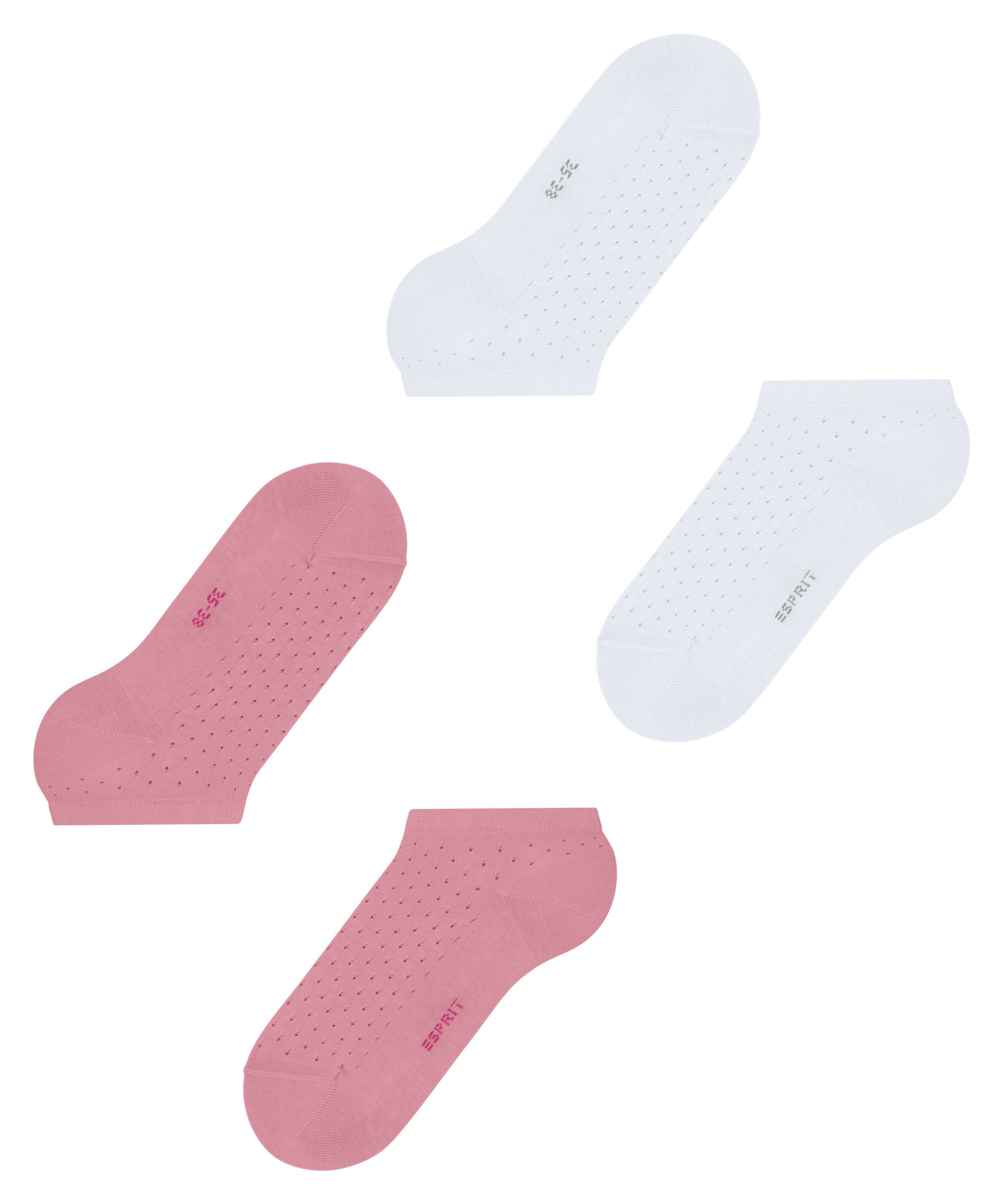 Esprit Sneakersocken Small Dot 2-Pack (2-Paar) (0010) sortiment