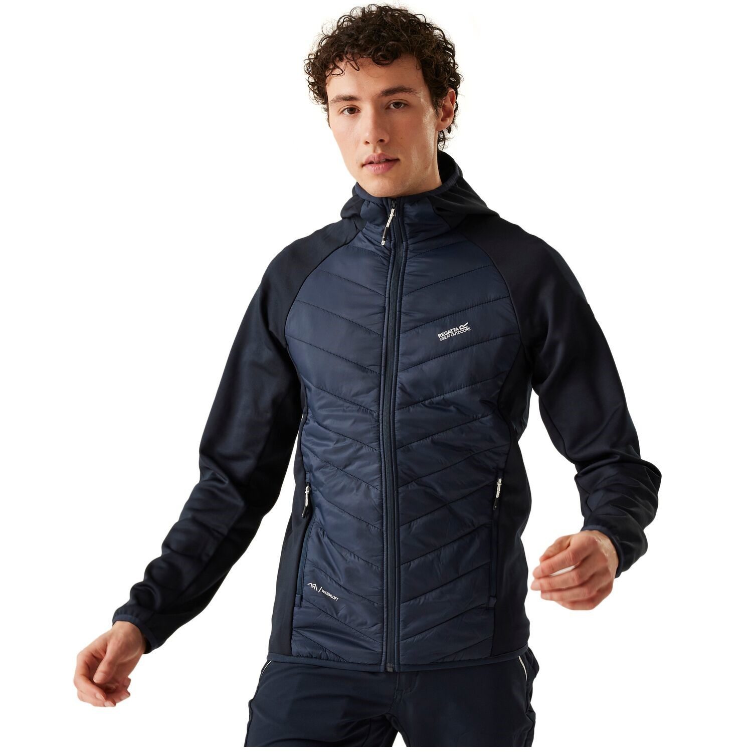 Regatta Softshelljacke Hybrid Steppjacke Andreson VIII günstig online kaufen
