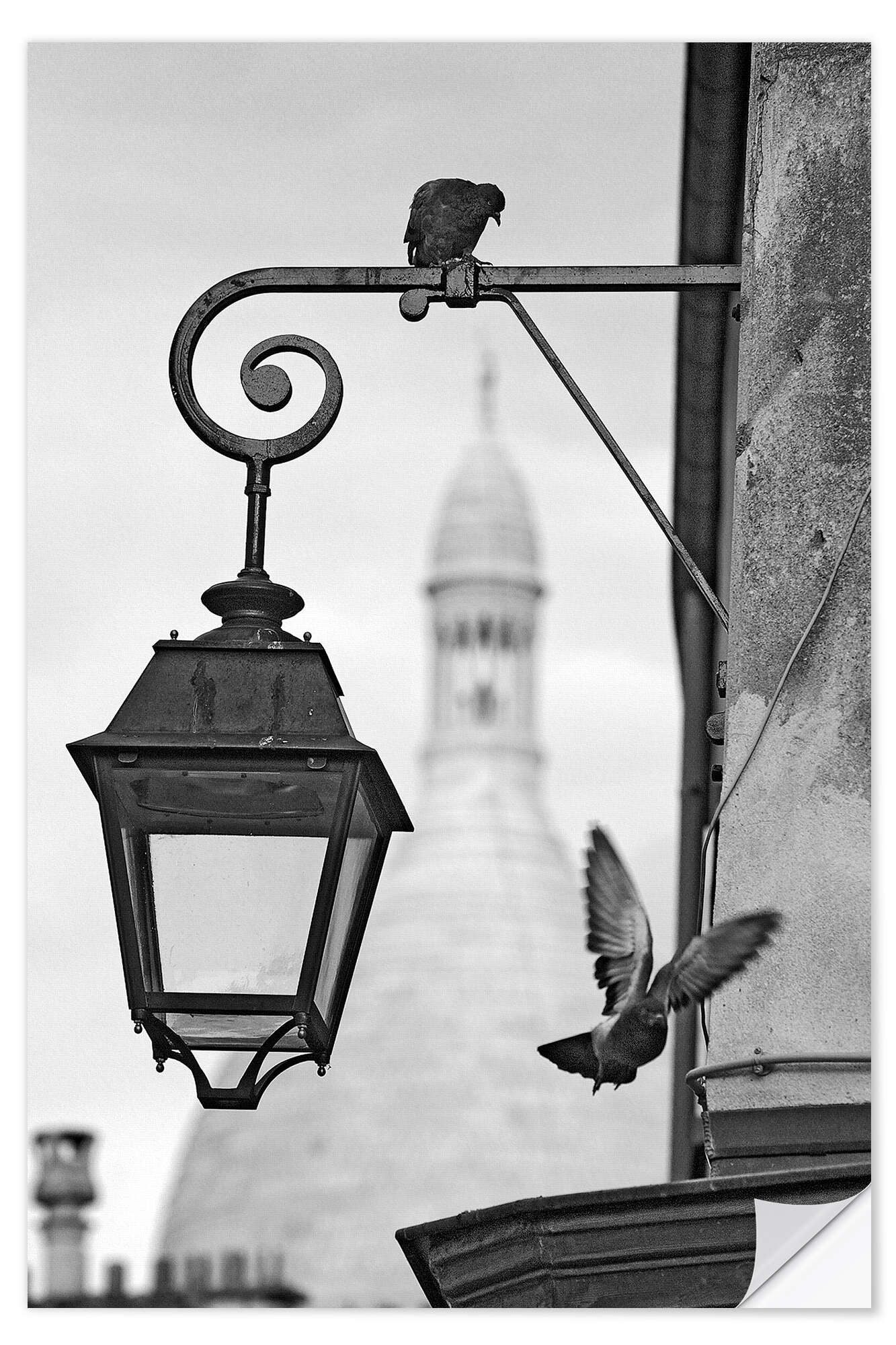 Posterlounge Wandfolie Editors Choice, Montmartre-Tauben mit Sacre Coeur, Wohnzimmer Rustikal Fotografie