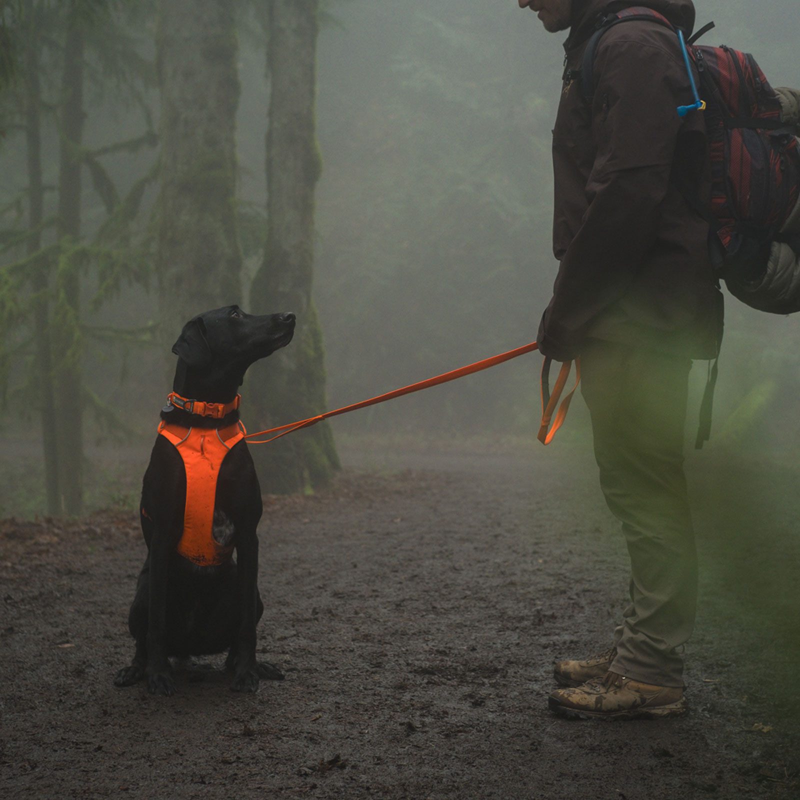 Ruffwear Hunde-Geschirr FRONT RANGE™ 30503-850, Gepolstertes Brustgeschirr für Hunde